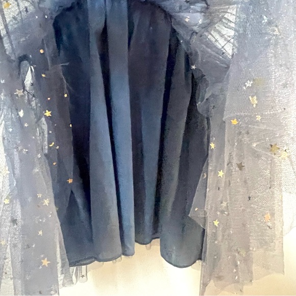 Toddler Girl Stardust & Glitter Slate Blue Tulle Princess Dress |  Size 2-3Y - Picture 9 of 15